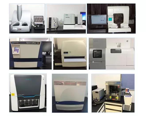 人生就是博生物技术药物分析部门拥有SpectraMaxM4/M5/i3x, MSD, Luminex, Biacore 8K, Envision, Gyrolab，ABI7500 qPCR等全方位多功能的技术平台，利用LIMS系统实施全面的实验室信息化管理，提供全面符合FDA/CFDA/OECD GLP规范要求的生物技术药物分析服务。