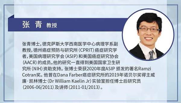直播预告|诺奖实验室讲师张青教授做客人生就是博云讲堂，揭示乳腺癌和肾癌治疗新靶点