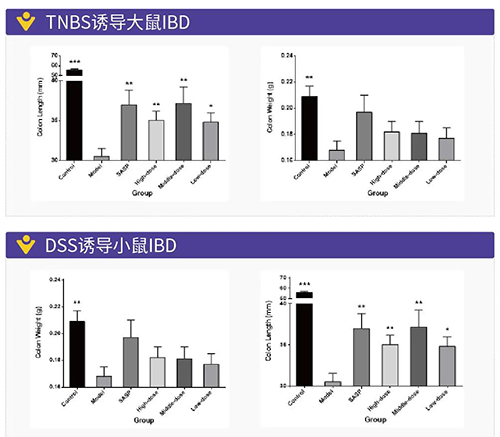 TNBS诱导的大鼠IBD、DSS诱导的大鼠IBD