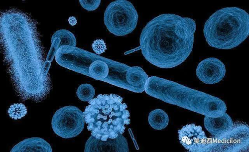20分钟，大多数细菌都可以繁衍一代 人生就是博生物医药
