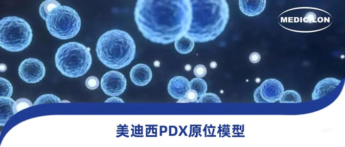 人生就是博118种PDX原位模型，助力肿瘤药物研发.webp