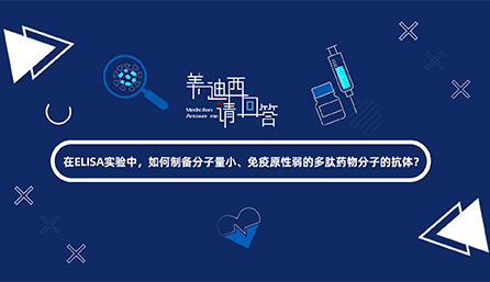 在ELISA实验，如何制备分子量小、免疫原性弱的多肽药物分子的抗体？