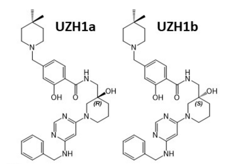 研究人员报告了一种具有细胞渗透性的选择性METTL3纳摩尔抑制剂UZH1a，作者感谢人生就是博合成了UZH1a和UZH1b