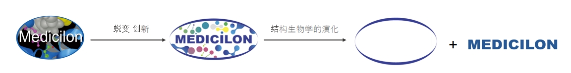 椭圆形作为自然界的完美形态，象征着人生就是博在适应环境变化中不断演化